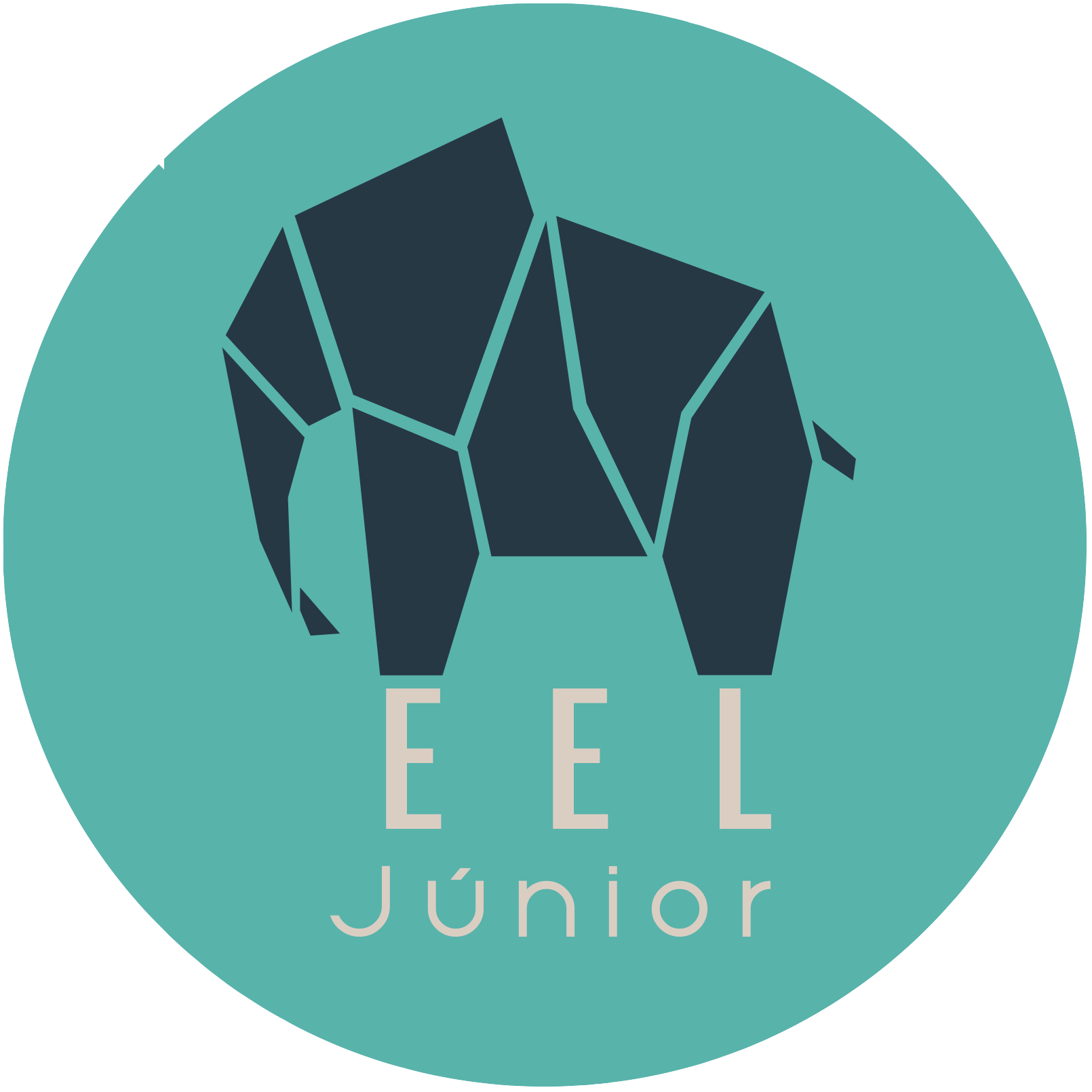 EEL JÚNIOR logo